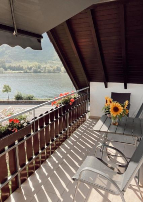 Ferienwohnung Moselflair mit direktem Blick auf die Mosel und Weinberge